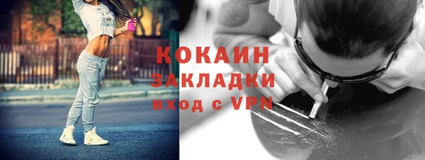 ПСИЛОЦИБИНОВЫЕ ГРИБЫ Болхов