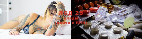дживик Богданович