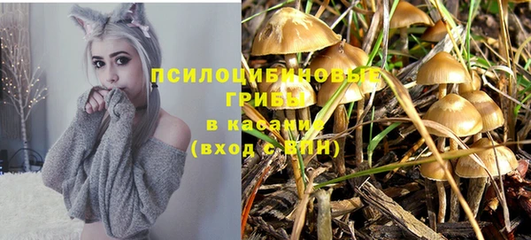 дживик Богданович