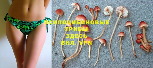 дживик Богданович