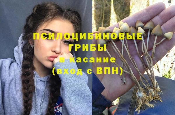 дживик Богданович