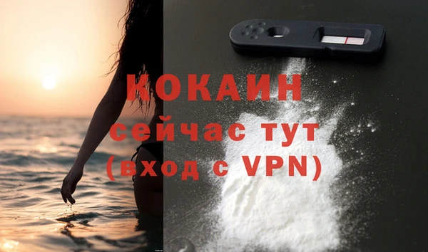 дживик Богданович